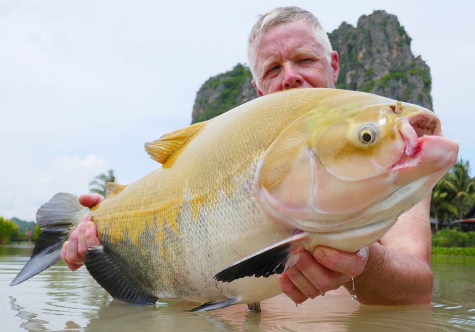 Fishing in Thailand - November 2019 2