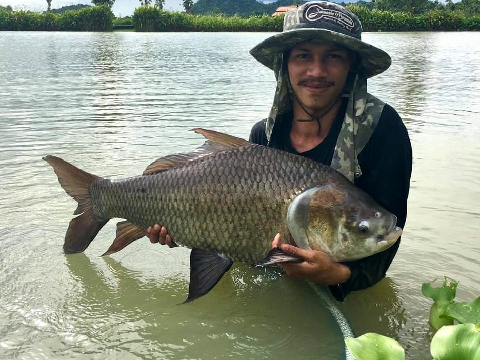 Fishing in Thailand - September 2020 10