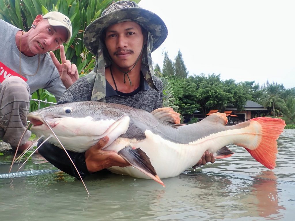 Fishing in Thailand - September 2020 11
