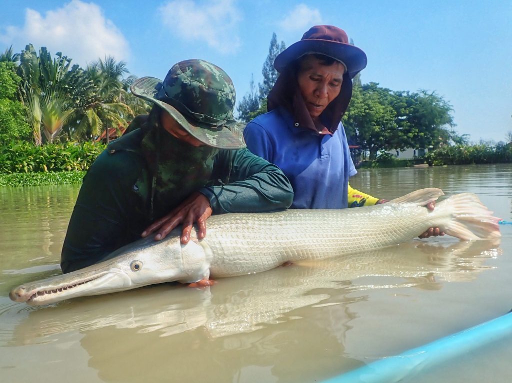 Fishing in Thailand - November 2020 7
