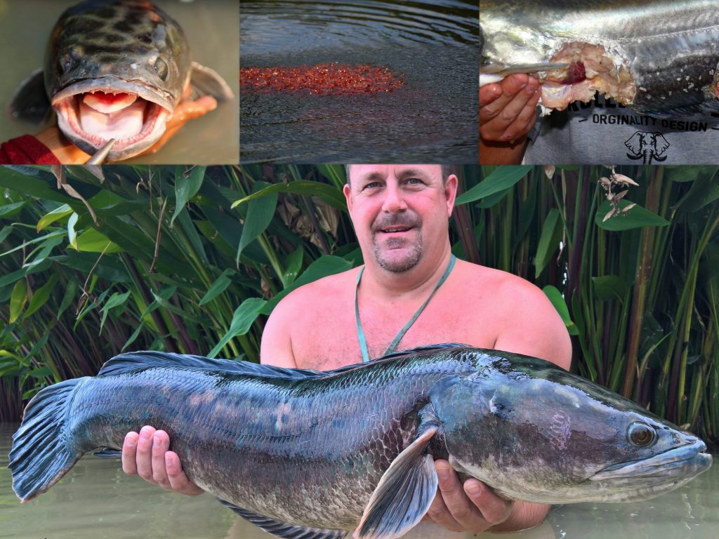 Fishing in Thailand - November 2020 21